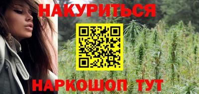 индика Заводоуковск